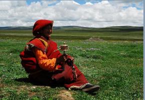 Woman in Silk Embroidery 